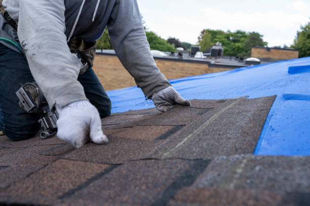 Best Roof Coating and Sealing  in Farngton, MI